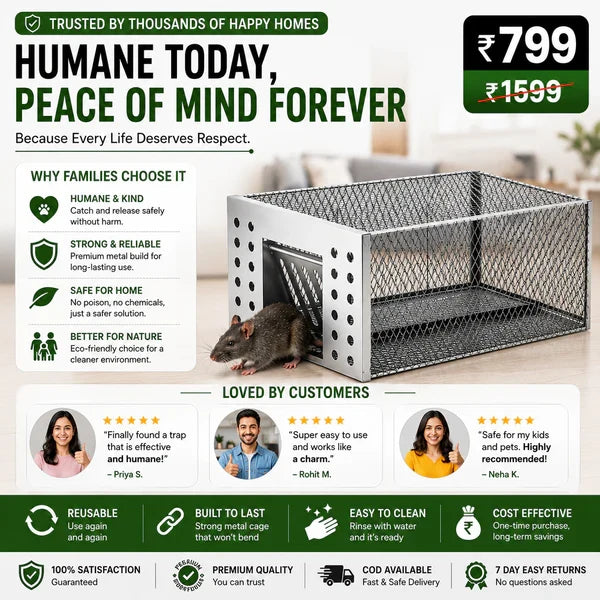 Humane Live Catch & Release Mouse Trap